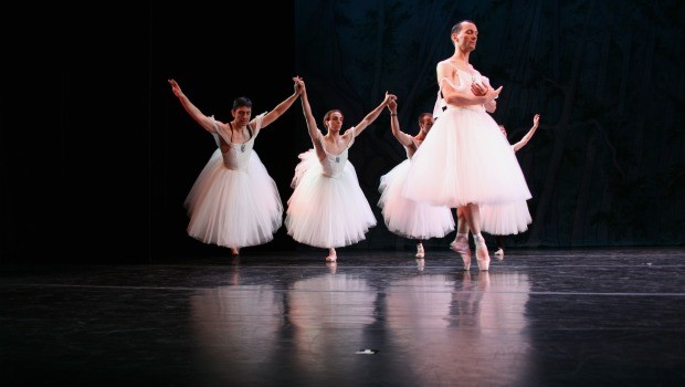 The company of 